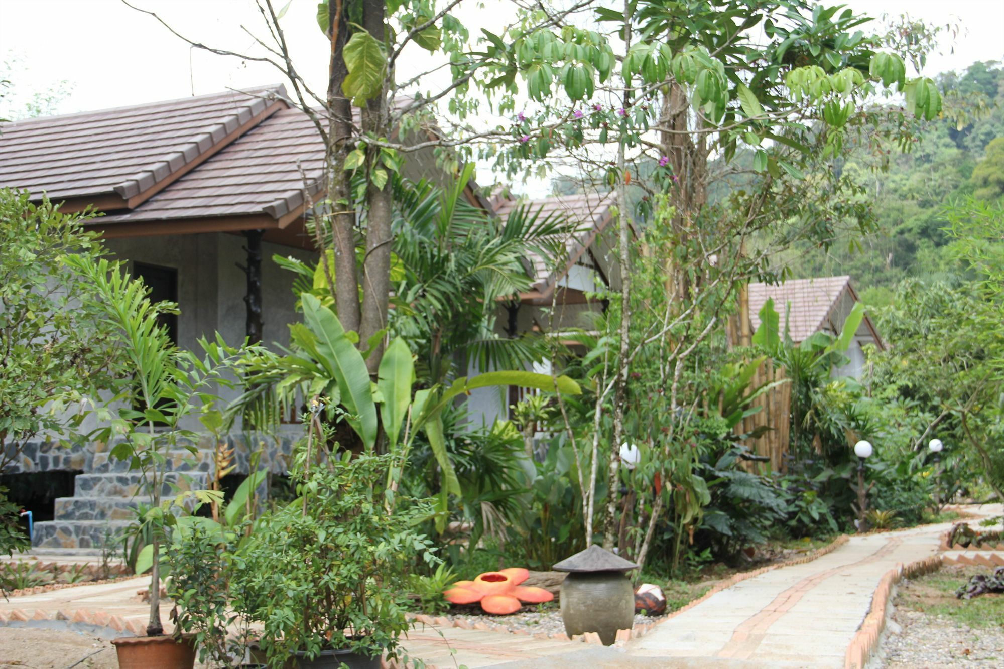 Khao Sok Green Valley Resort - Sha Certified Khao Sok National Park Eksteriør billede